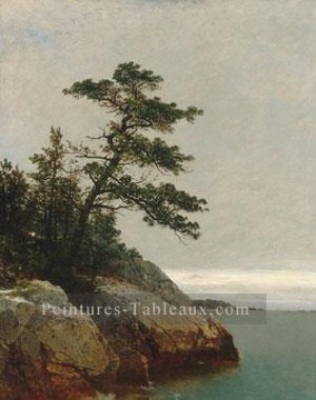 John Frederick Kensett œuvres - Le vieux pin Darien Connecticut luminisme paysage marin John Frederick Kensett